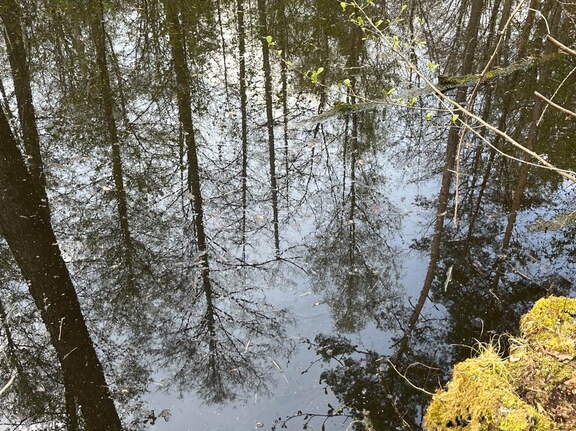 22-04-15 13-32-09 0492